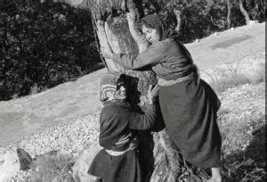 When Women Lead: Looking Back At The Chipko .